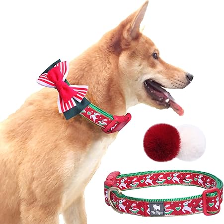 christmas dog collars amazon