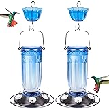 Kingsyard 2 Pack Glass Hummingbird Feeder for