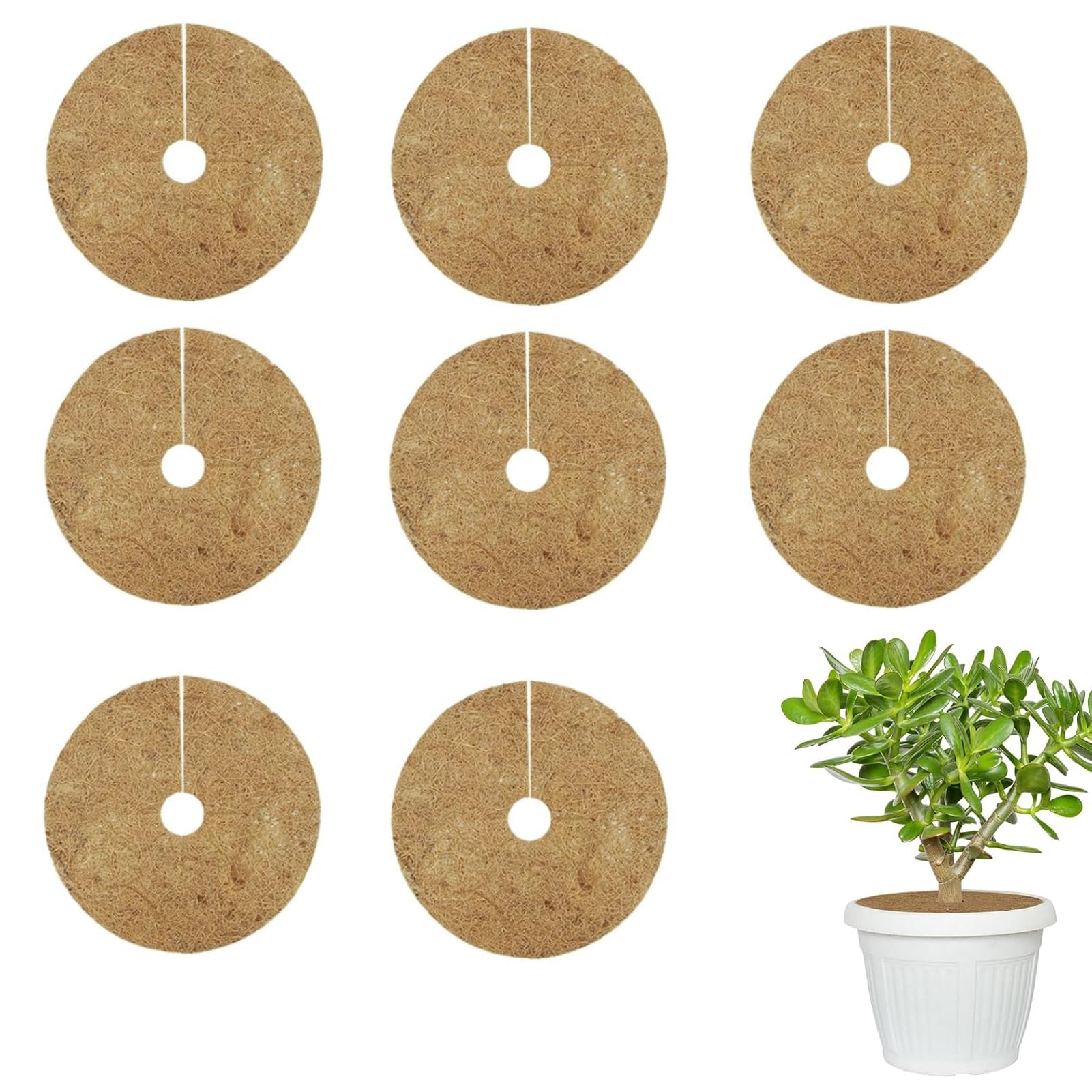 Zocipro 8Pcs Coconut Mulch Mats, 20cm Coconut Fibers Tree Mulch Ring Protector Mat, Natural Protector Root Soil Cover for Flower Pots, Landscaping, Indoor Outdoor Plants