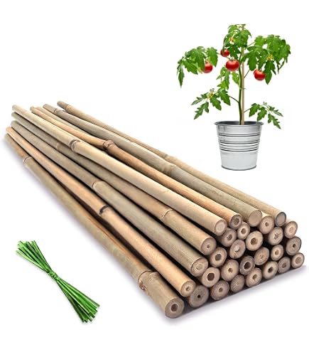 超美品 MOSS STICK 26SW TIJIKO Moss Stick for Climbing Plants