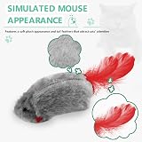 FYNIGO Cat Toys for Indoor Cats 2 Pack Self Play Hanging Mouse Toy view 5