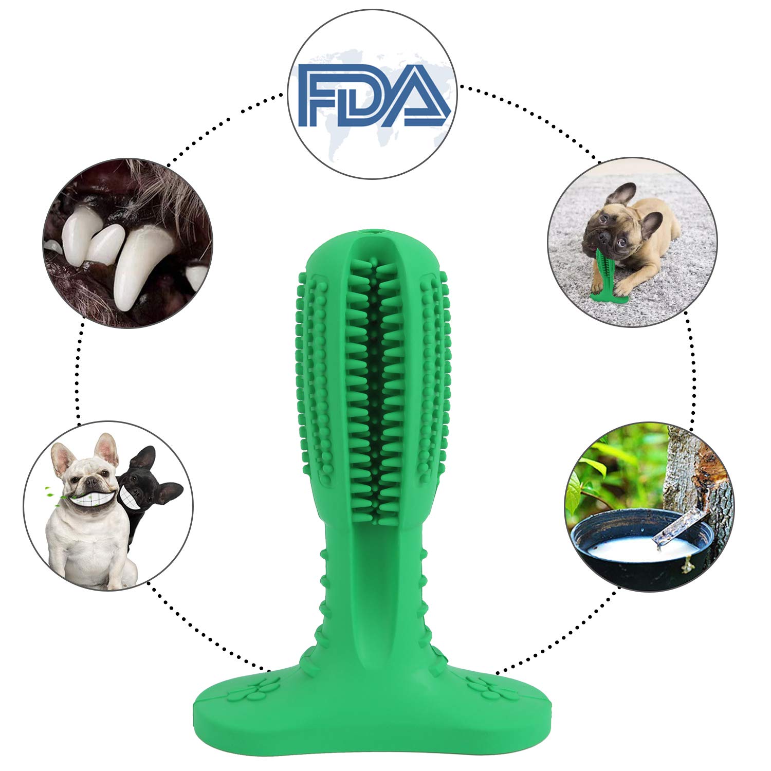 Ezio Dog Toothbrush Chew Toy - Nontoxic Natural Rubber Toothbrush Stick Teeth Cleaning Dental Care Brushing for Small and Medium Doggy (Green)