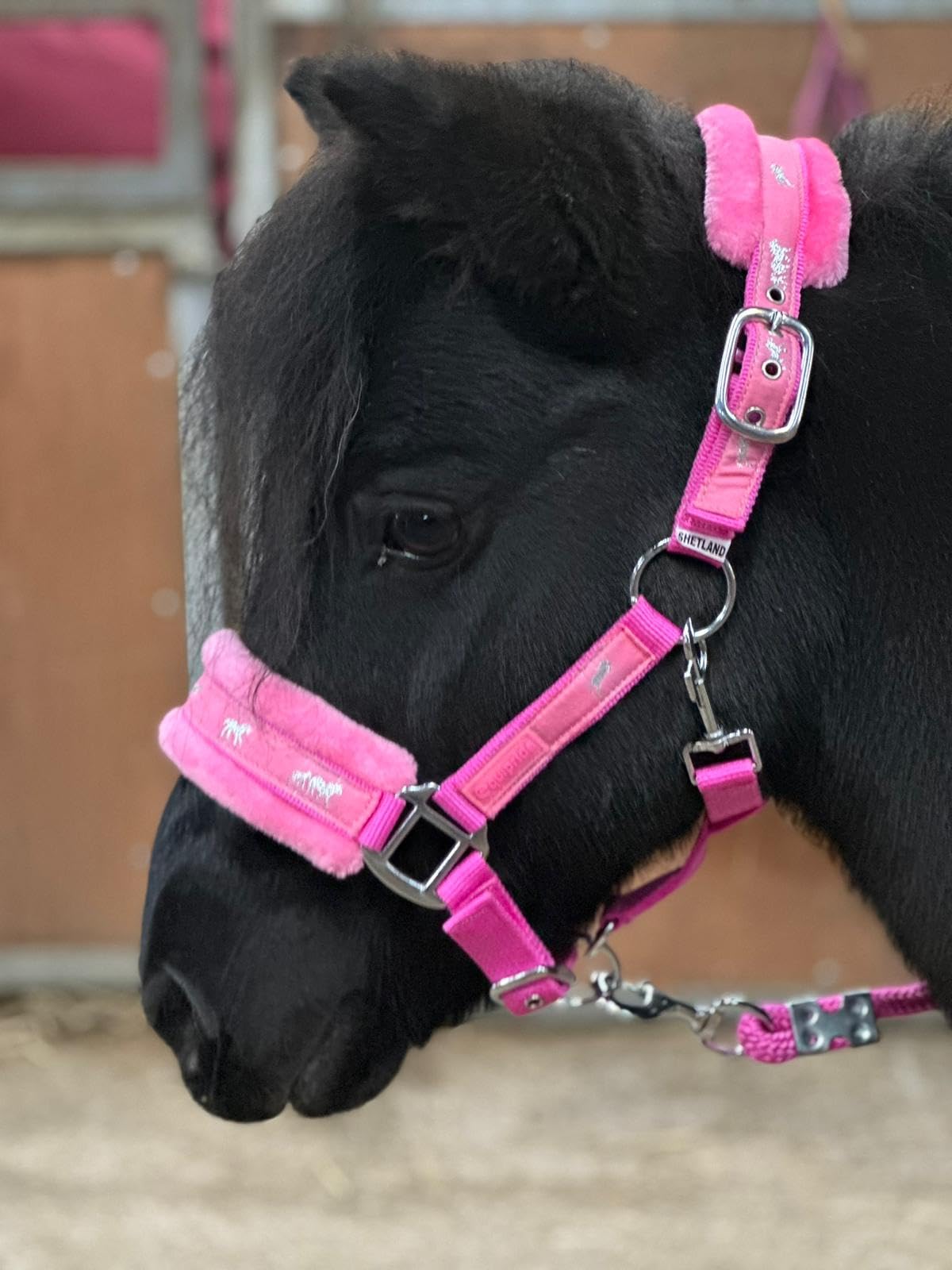Equipride Horse Print Faux Lined Nylon Headcollars with Matching Lead Rope PINK (Full)