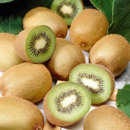 Floral Treasure Kiwi Fruit Plant Seeds - Pack Of 25