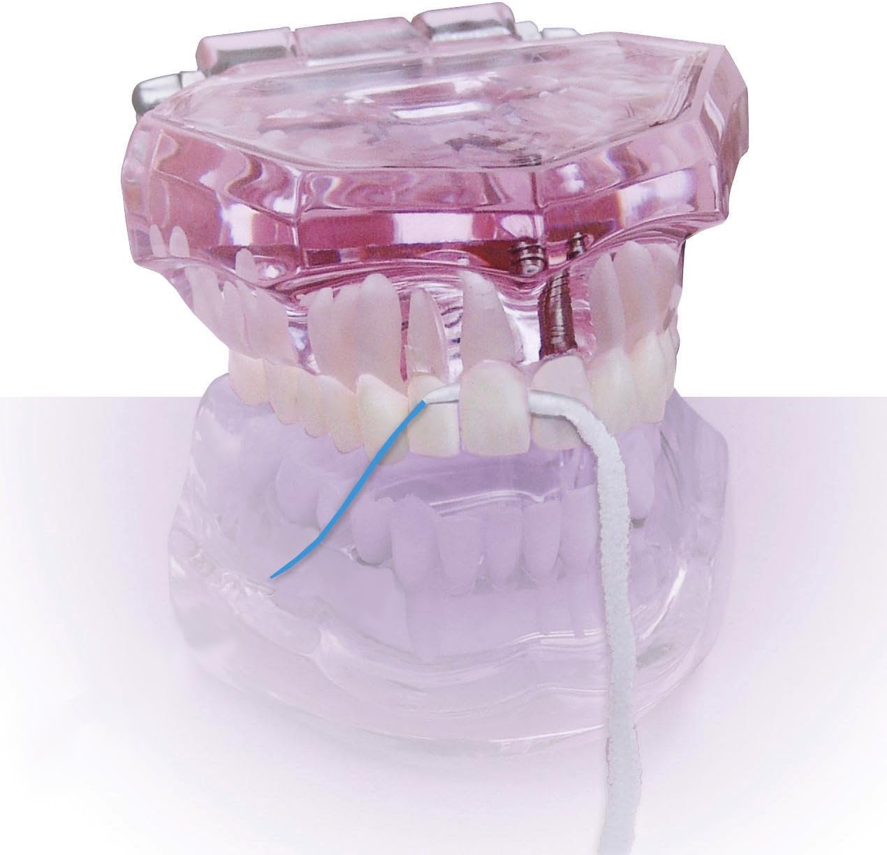 Dental Floss Threaders with Built-in Thick Yarn Proxy Brush for Daily Dental Care of Periodontal Disease - Image 4