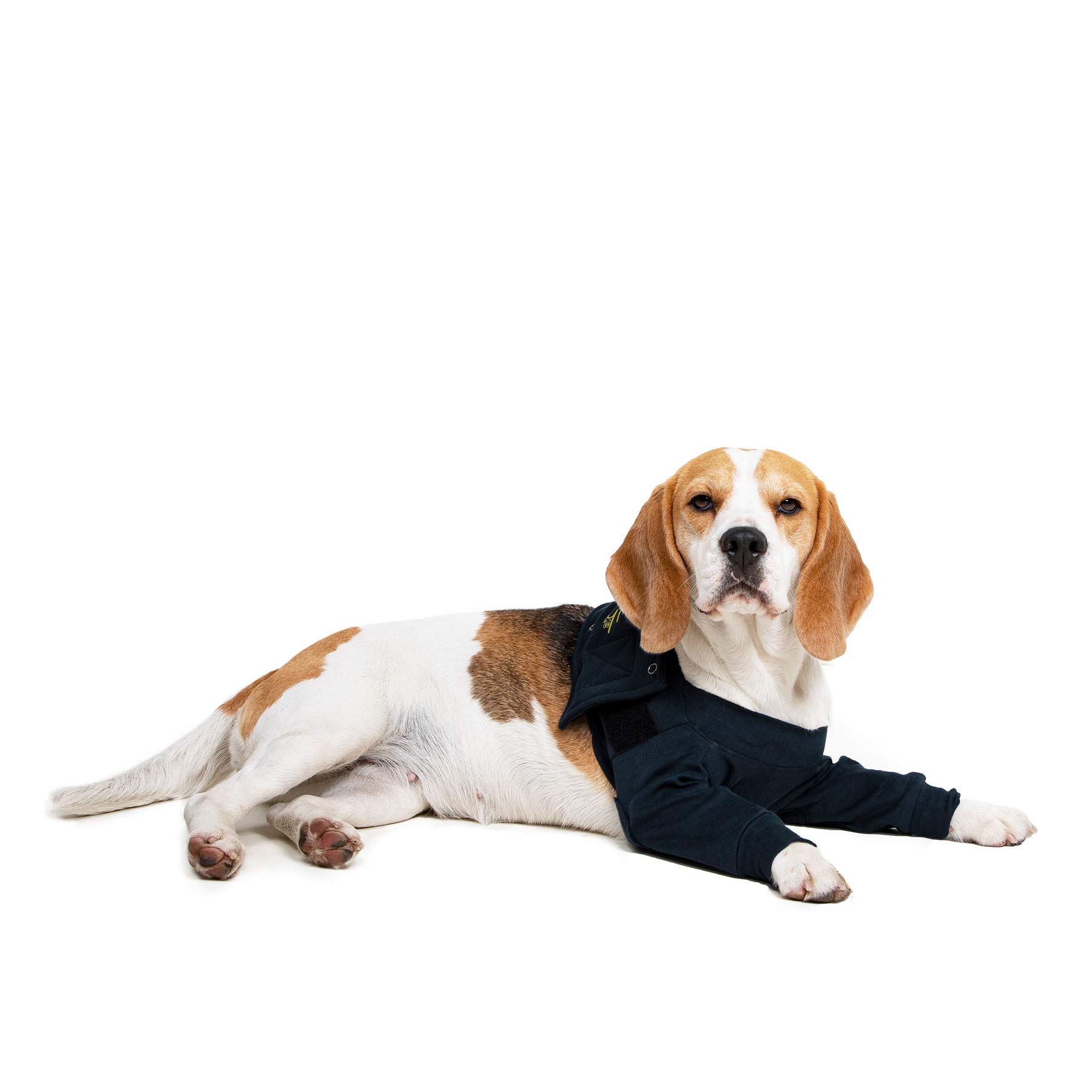 MPS Medical Pet Shirt - TAZ2, Double Front Leg Sleeve for Dog, Small