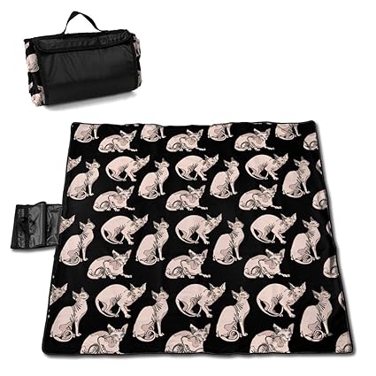  Xl Huala Hairless Naked Cats Sphynx Cats