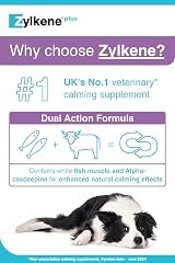 Zylkene Calming Supplement Large Dogs 30kg-60kg 450mg 30 capsules view 2