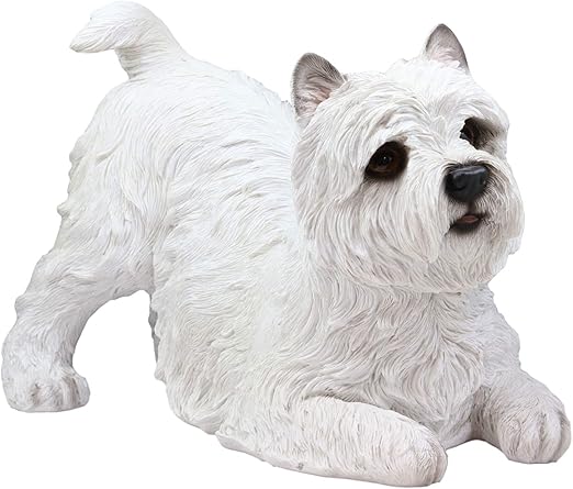 westie black and white