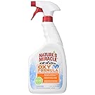 Nature's Miracle Oxy Forumula Stain & Odor Remover, 32 oz