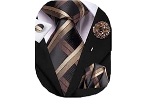 Hi-Tie Mens Tie Set Silk Striped Woven Necktie with Lapel Pin Pocket Square Cufflinks Set for Wedding Party