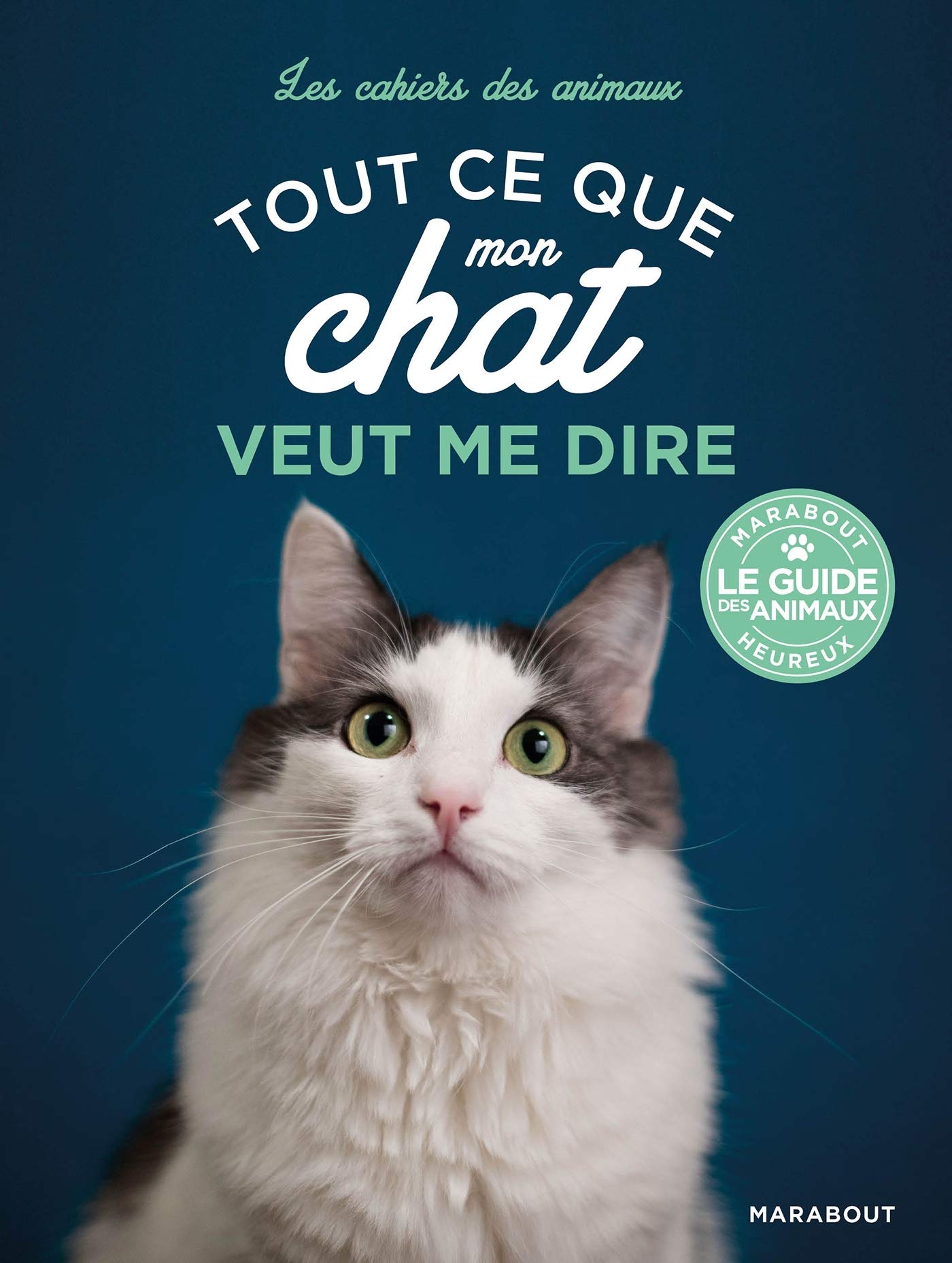 Tout Ce Que Mon Chat Veut Me Dire Rauth Widmann Brigitte Amazon Com Books
