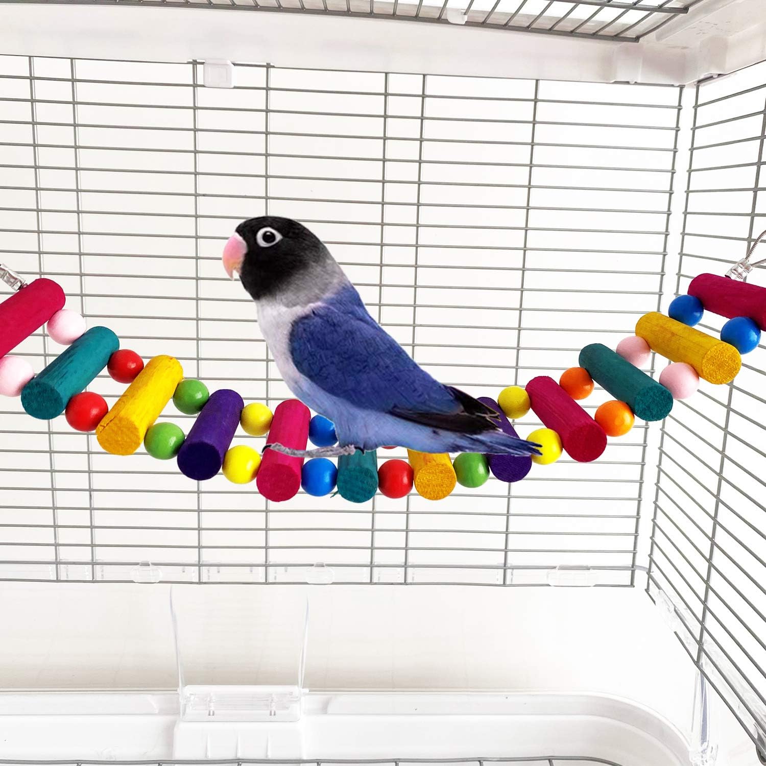 Bird Parrot Toys Ladders Swing Chewing Toys Hanging Pet Bird Cage Accessories Hammock Swing Toy for Small Parakeets Cockatiels, Lovebirds, Conures, Macaws, Finches (Pack of 6 Bird Swing Ladder Toys) : Pet Supplies