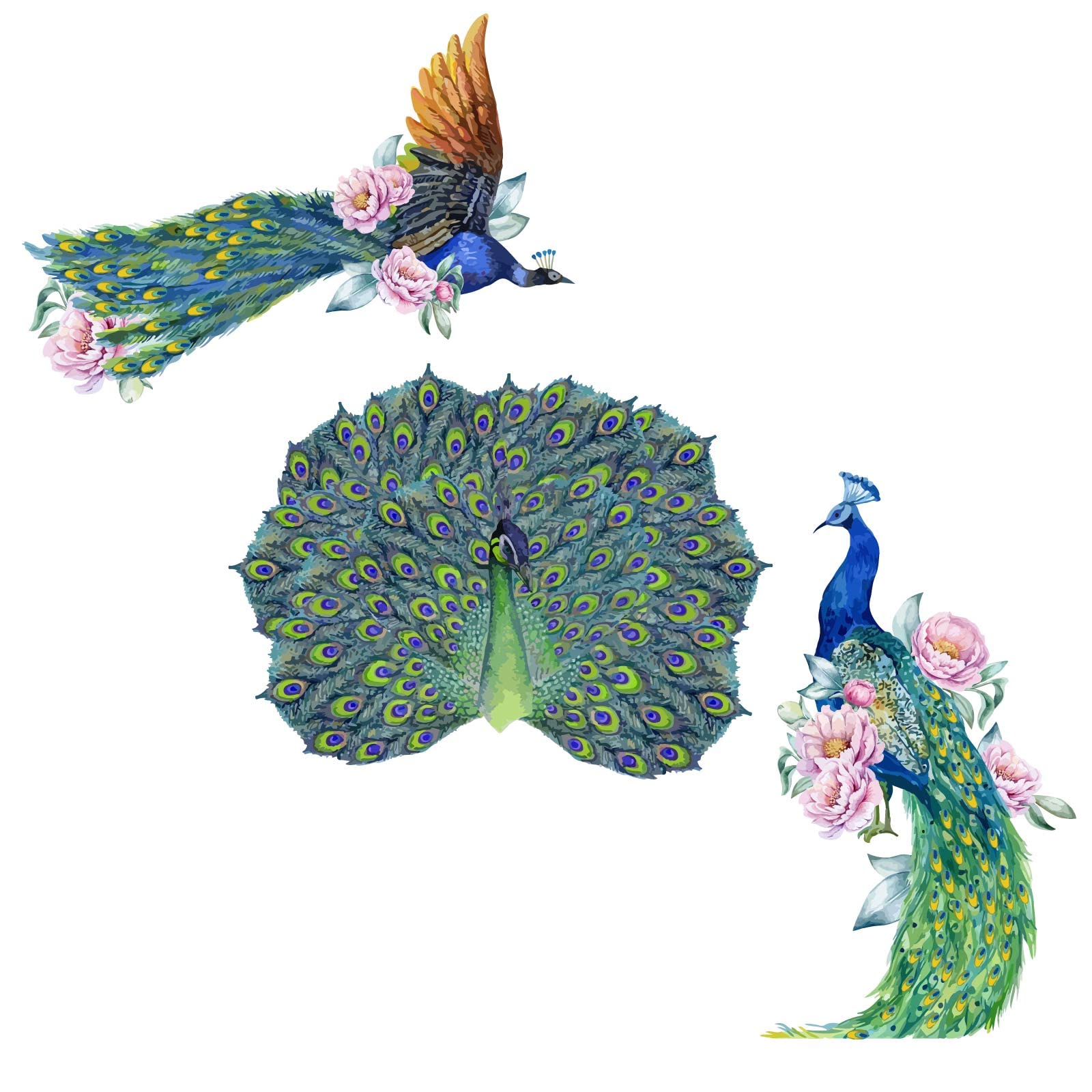 SUPERDANT Peacock Wall Decals - Colorful Floral and Animal Vinyl Stickers - DIY Art Decor for Garden, Home, Office, Living Room
