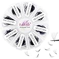 FADLASH 1000 Fans 10D Premade Volume Eyelash Extensions Mixed Tray Premade Fans Eyelash Extensions D Curl Premade Lash Fans Pointed Handmade Promade Loose Fans Thin Base (10D-0.07D,9-16mm)