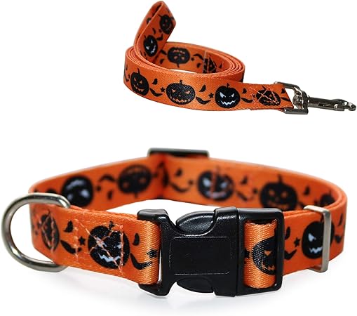 fun dog collars and leashes