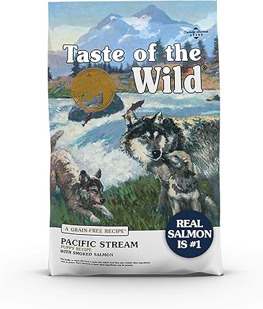 into the wild salmon dog food