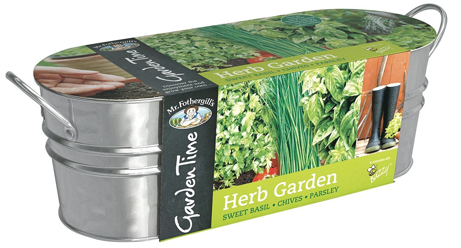 Mr Fothergills 24804 Garden Time Herb Garden Windowsill Kit Green