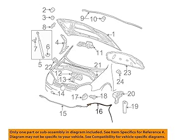 Harley rear wheel assembly diagram