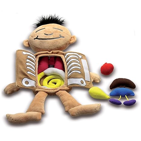 Roylco R59257 - What's Inside Me Lernpuppe, Mehrfarbig, 45,7 cm