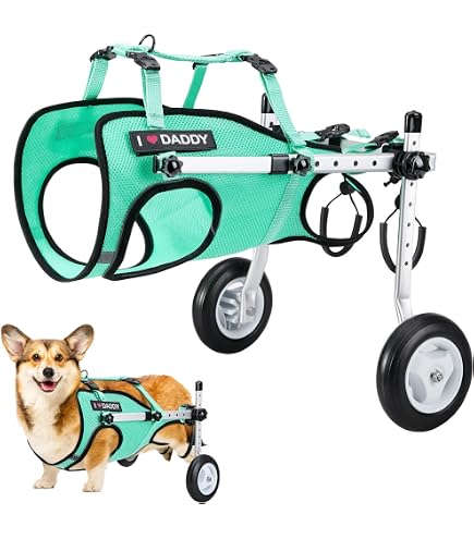 LetPetRun Adjustable Dog Wheelchair for Back Legs Mobility Support