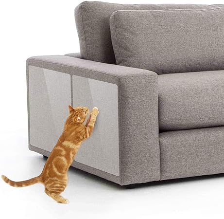 cat scratch proof sofa