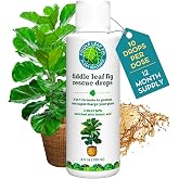 Fiddle Leaf Fig Rescue Drops for Brown Spots, Root Rot &amp; Stress, 3.3 oz
