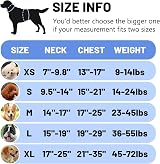 Belababy Soft No Pull Dog Harness Small Adjustable Reflective Blue view 2