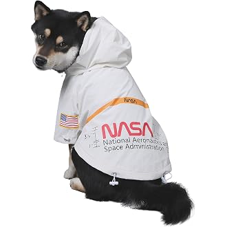 Amazon Best Sellers: Best Dog Raincoats