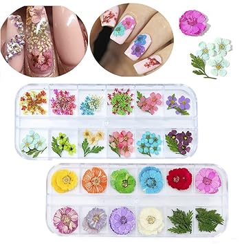 Amazon Com Missbabe 2pack 24 Different Colors Natural Real Dried Flowers Nail Art Decoration Sticker For 3d Nail Art Acrylic Uv Gel Tips Beauty