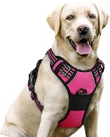 rabbitgoo Dog Harness Large No Pull Reflective with 2 Leash Clips Rose Red L