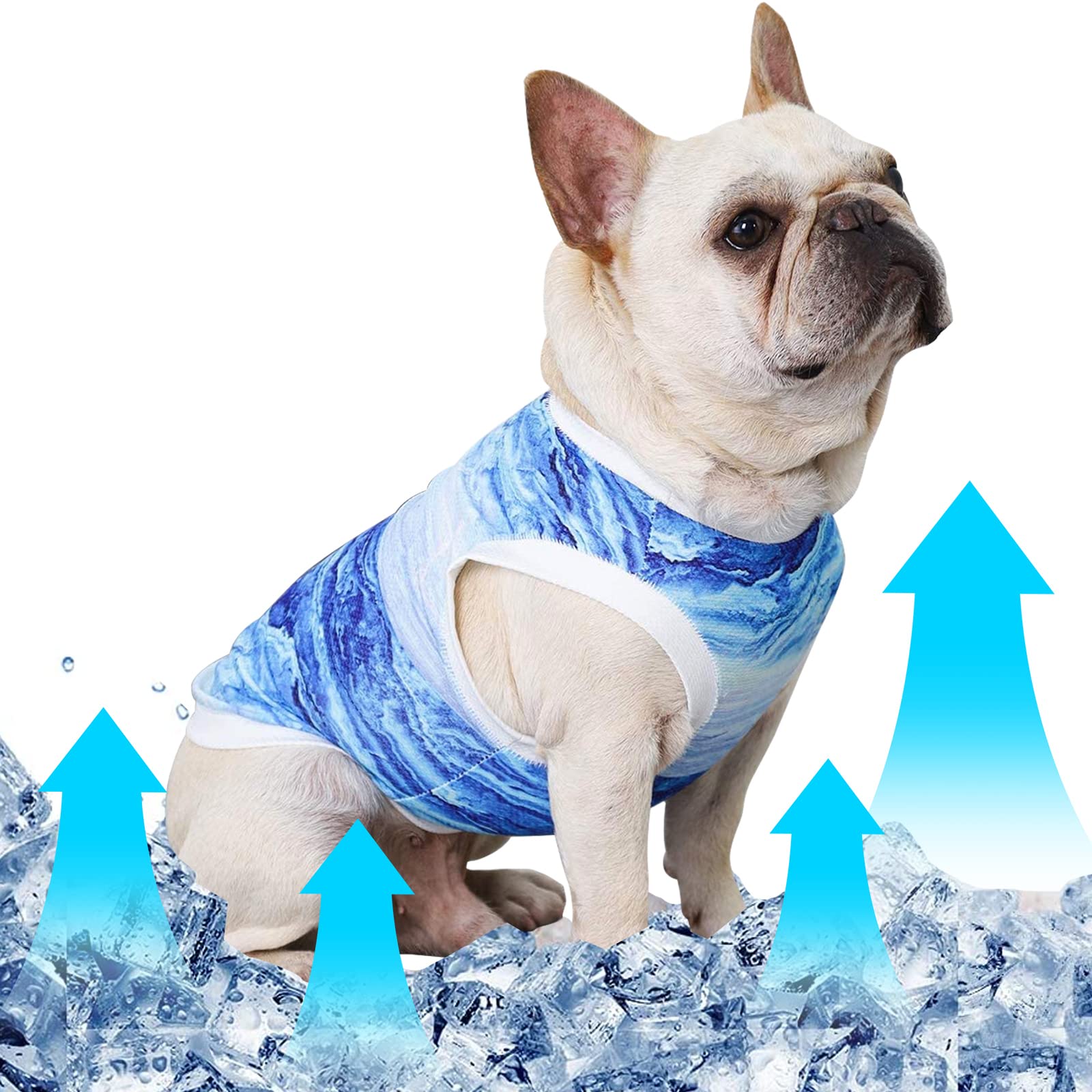 Dog Cooling Vest, Breathable Mesh Dog Clothes Shirt for Summer, Ice-Cooling Jackets for Puppies Dogs Indoor Outdoor Activities (M)