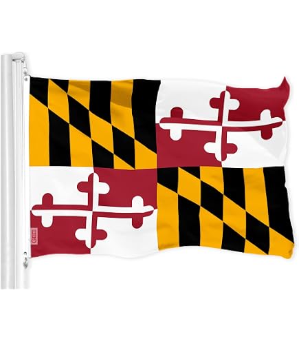Nashville Tennessee Hof-Banner – 3x5 Fuß (90x150cm), Beidseitig Bedruckt, Aus Wetterfestem Polyester, Mit Ösen – Für Garten, Terrasse, Party & Feiertage – Dekorative Fahne