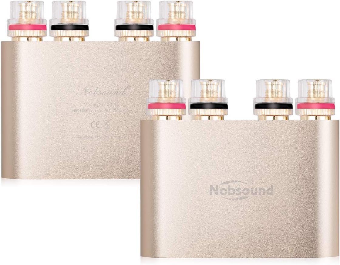 Nobsound, amplificatore stereo digitale, HiFi, Mini Dual TPA3116, elevata qualità audio, canale 2.0, 100 W x 2, con preamplificatore NE5532P, colore nero