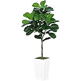 ASTIDY Fiddle Leaf Fig Tree Artificial 5FT - Faux Fiddle Leaf Fig Tree with White Tall Planter - Fake Ficus Lyrata Floor Plant Potted - Artificial Fig Tree for Home Office Living Room Decor Indoor