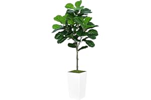ASTIDY Fiddle Leaf Fig Tree Artificial 5FT - Faux Fiddle Leaf Fig Tree with White Tall Planter - Fake Ficus Lyrata Floor Plant Potted - Artificial Fig Tree for Home Office Living Room Decor Indoor