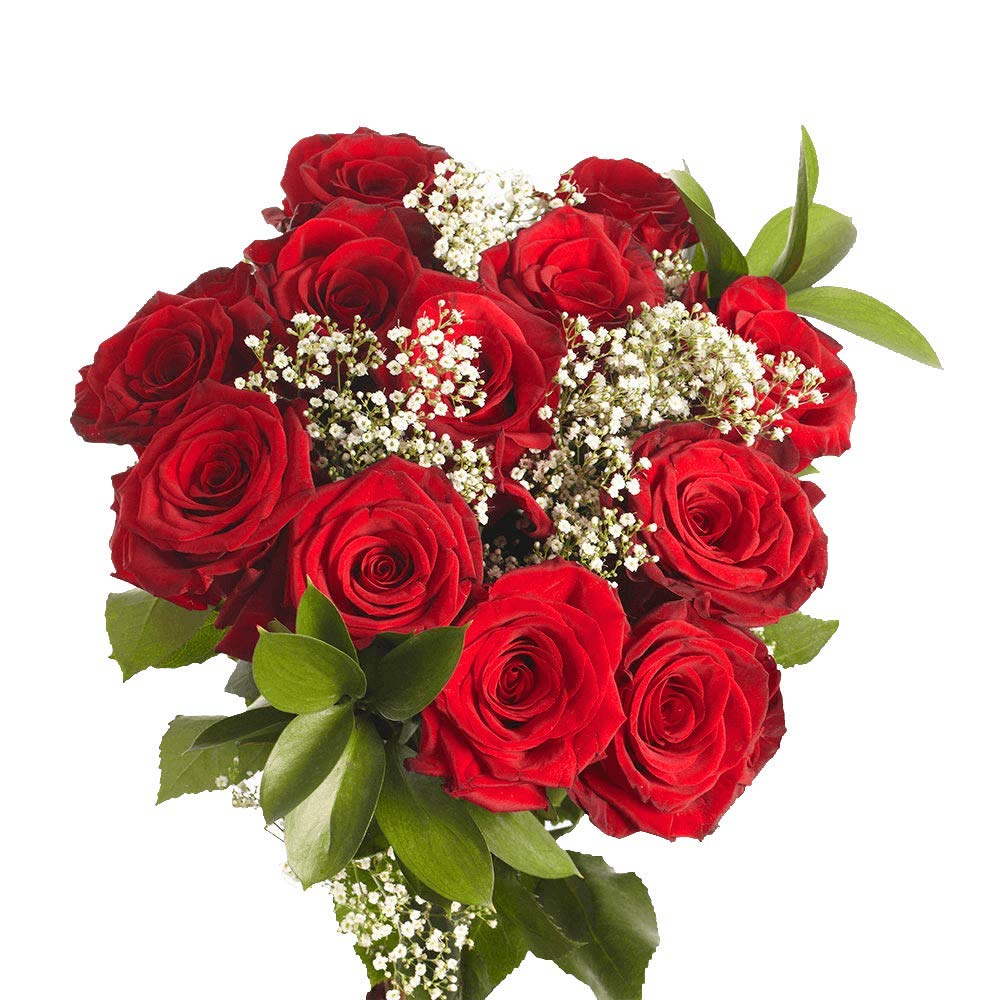 GlobalRose 6 DozenRoses Bouquets of Fresh Cut Red Roses