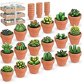 Treela 18 Pcs Succulent Cactus Tealight Candles Handmade Tea Lights Baby Shower Plant Candle Gift with Mini Terracotta Clay Candle Holders for Home Birthday Christmas Wedding Party(Classic)