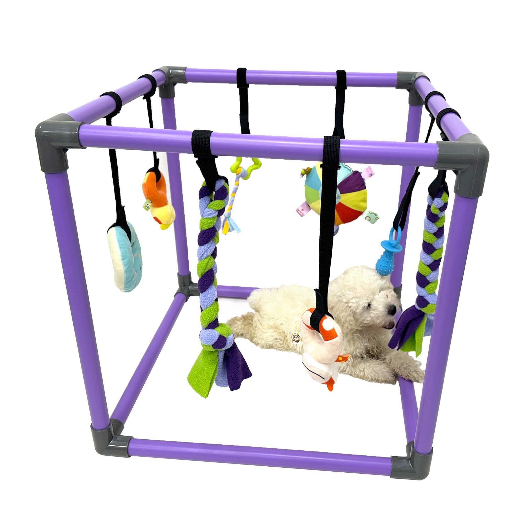 Photo 1 of DOZZOPET Puppy Play Gym for Small Dogs with 8 Hanging Toys, Jungle Playground with Interactive Funny Enrichment Toys to Keep Them Busy