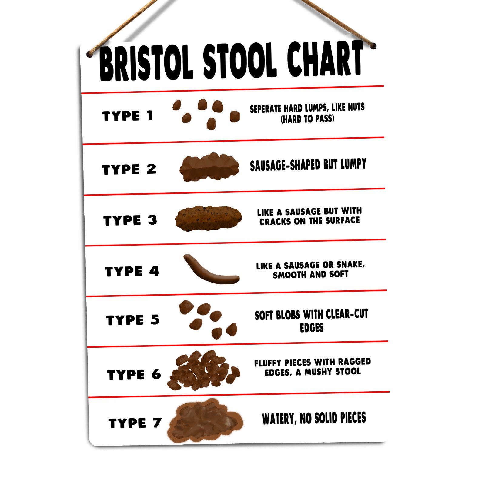 Bristol Stool Chart Twine - Metal Wall Sign Plaque Art Inspirational