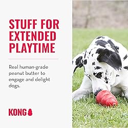 KONG Stuff'N - Paste for Stuffing Dog Treats