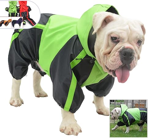 american bully clothing for dogs