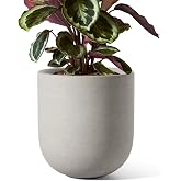 LE TAUCI 8 Inch Ceramic Plant Pot, Indoor Planter, Neutral Gray | With Drainage Hole &amp; Plug, for Pothos, Spider Plants and Medium Houseplants, Ideal for Living Rooms, Bedrooms and Offices