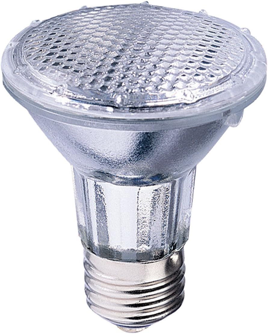 Globe Electric 00311 50Watt Par 20 Flood Light, Halogen Medium Base