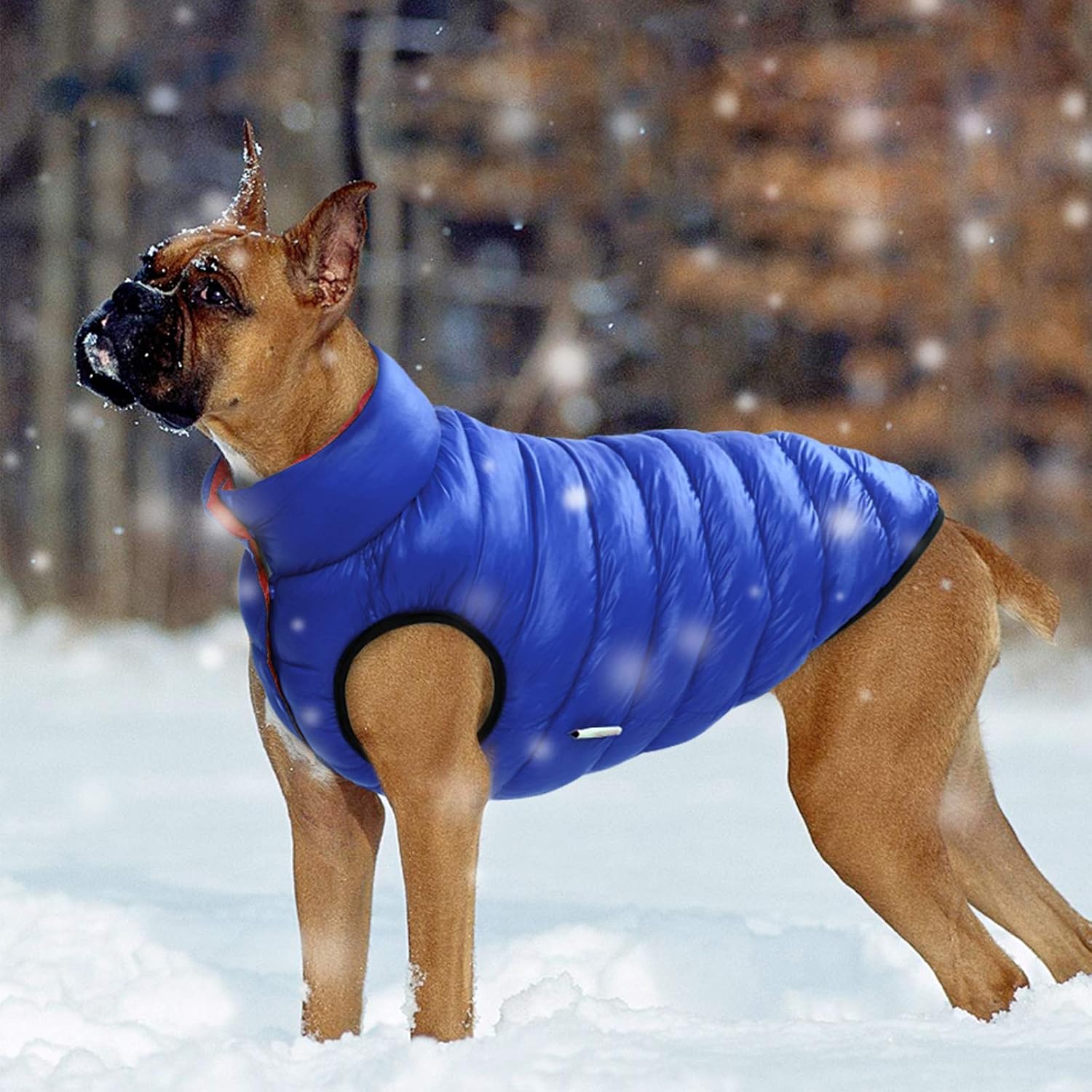 Chaleco Polar Para Perros Pequeños - Abrigo Invierno, Anillo