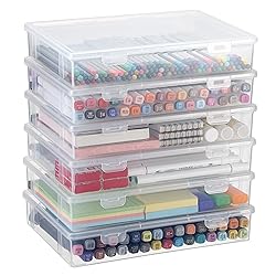 BTSKY Clear Plastic Storage Box with Flap