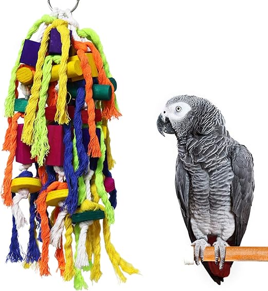 african grey toys and accessories