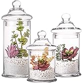 Glass Apothecary Jars with Lids, Set of 3 - Bathroom Storage Organizer for Qtips, Cotton Balls, Bath Salts, Candy, Kitchen & Home Decor (11", 8.5", 7.5" Heights)