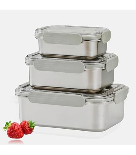 Amazon.com: GEEJA Set of 2 stainless steel food containers with