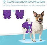 Avont 3 Pack Reusable Dog Diapers Medium Purple Blue Pink Washable view 2